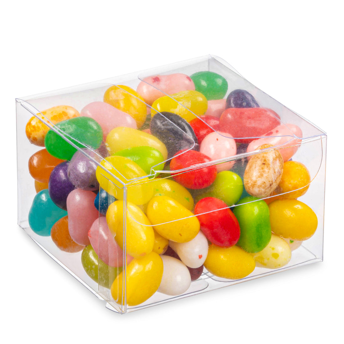 Clear PET Plastic Storage Boxes (36 Pack)