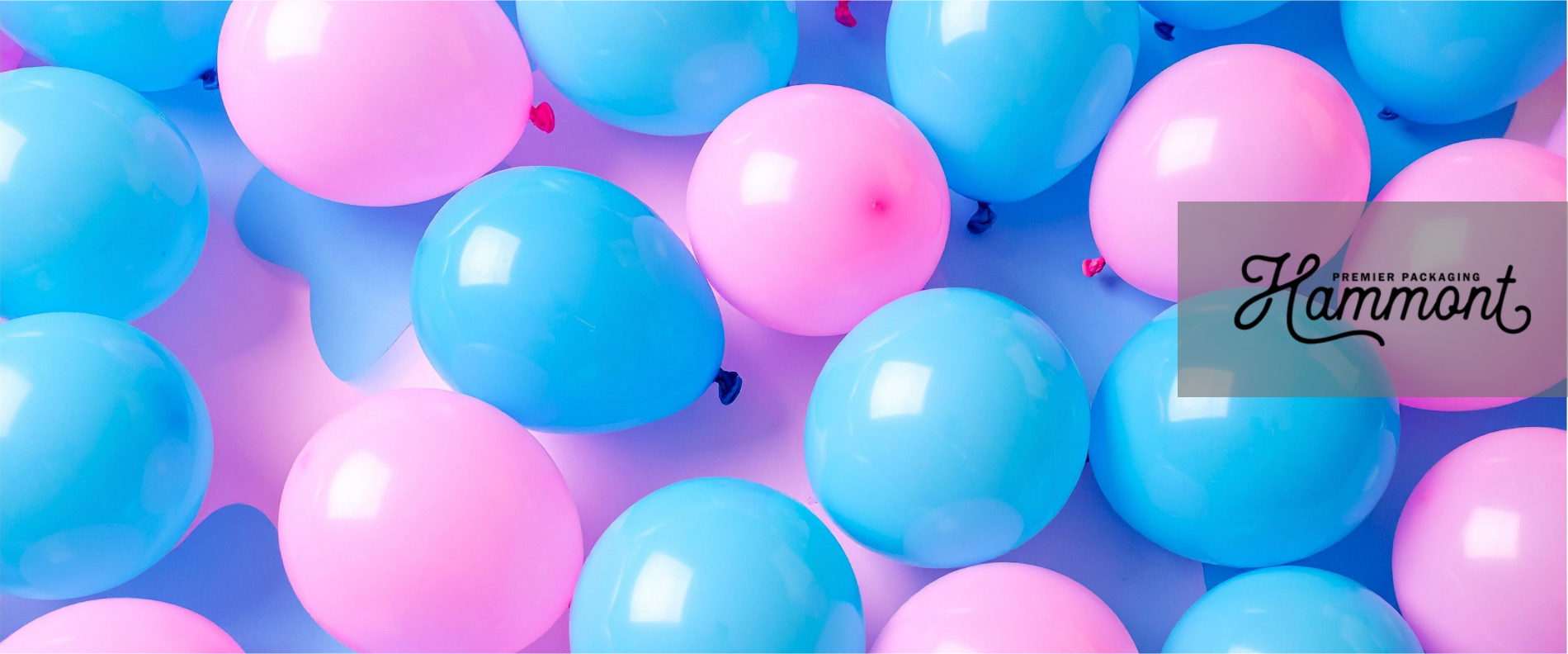 Gender Reveal Packaging Ideas