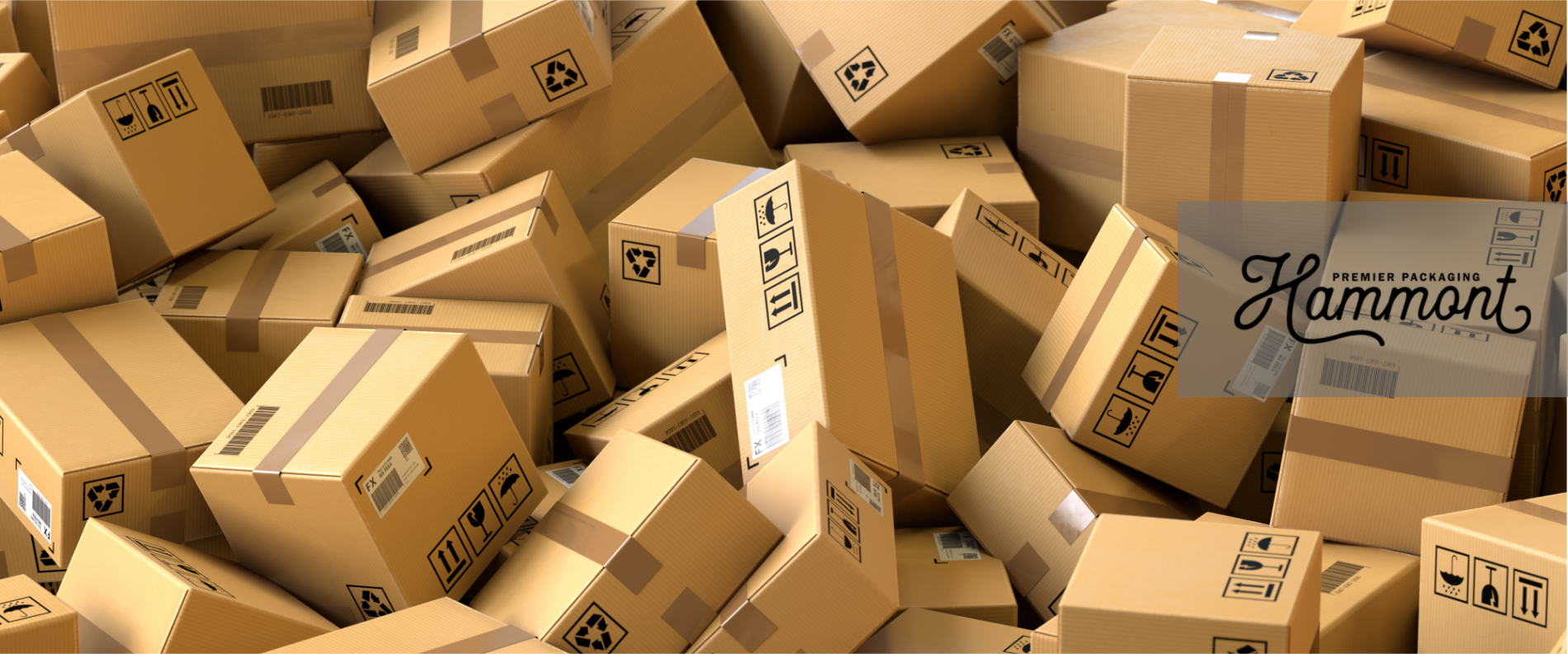 How Do I Choose Packaging That Survives Shipping?