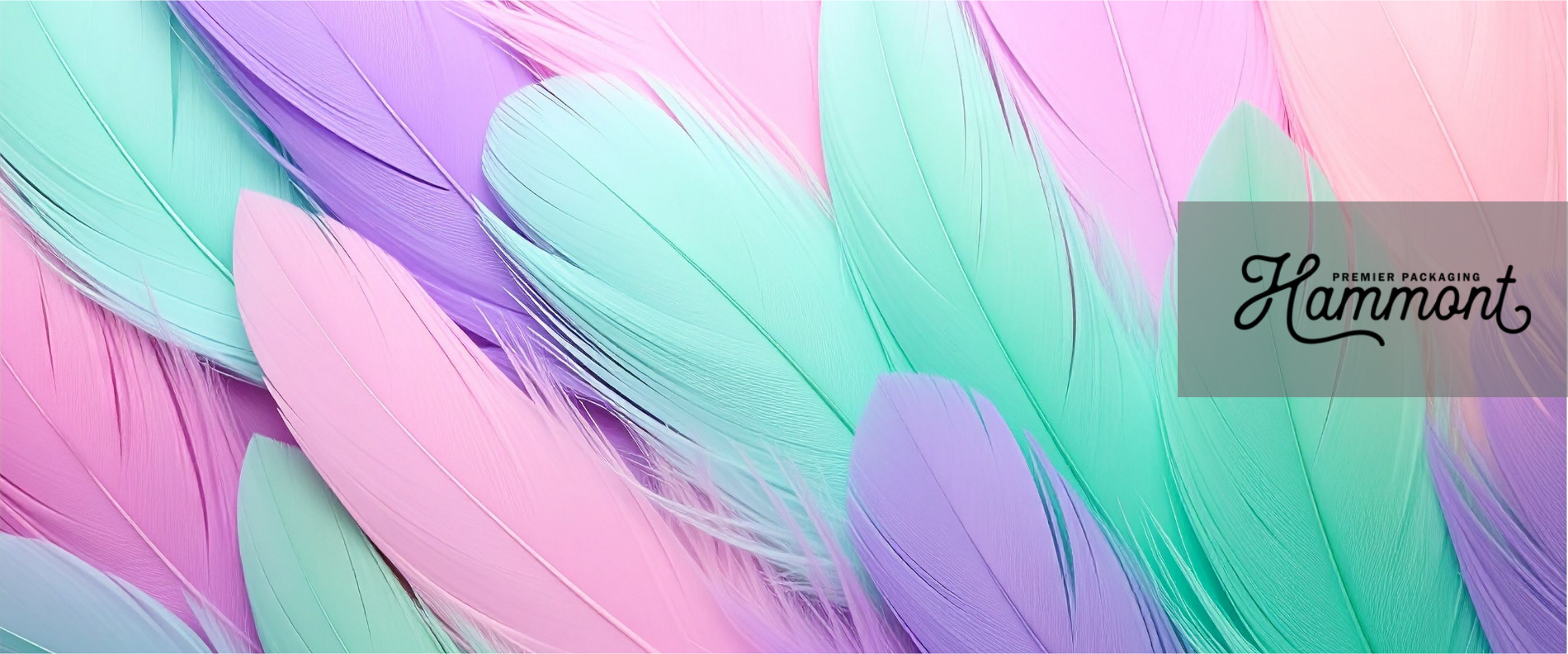 Incorporating Feathers into Gift Packaging