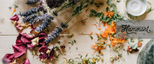 Using Dried Flowers in Gift Packaging (Without the Mess)