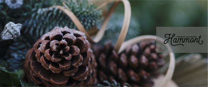 Using Pinecones and Natural Accents Instead of Bows