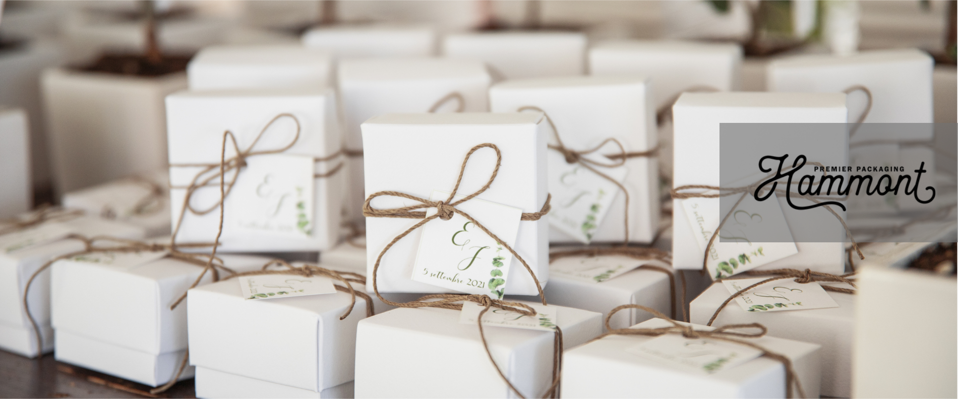 Wedding Favor Packaging