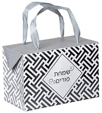 Silver Purim Paper Gift Bag Box 6 Pack 7"X 3.5"X 4.75"
