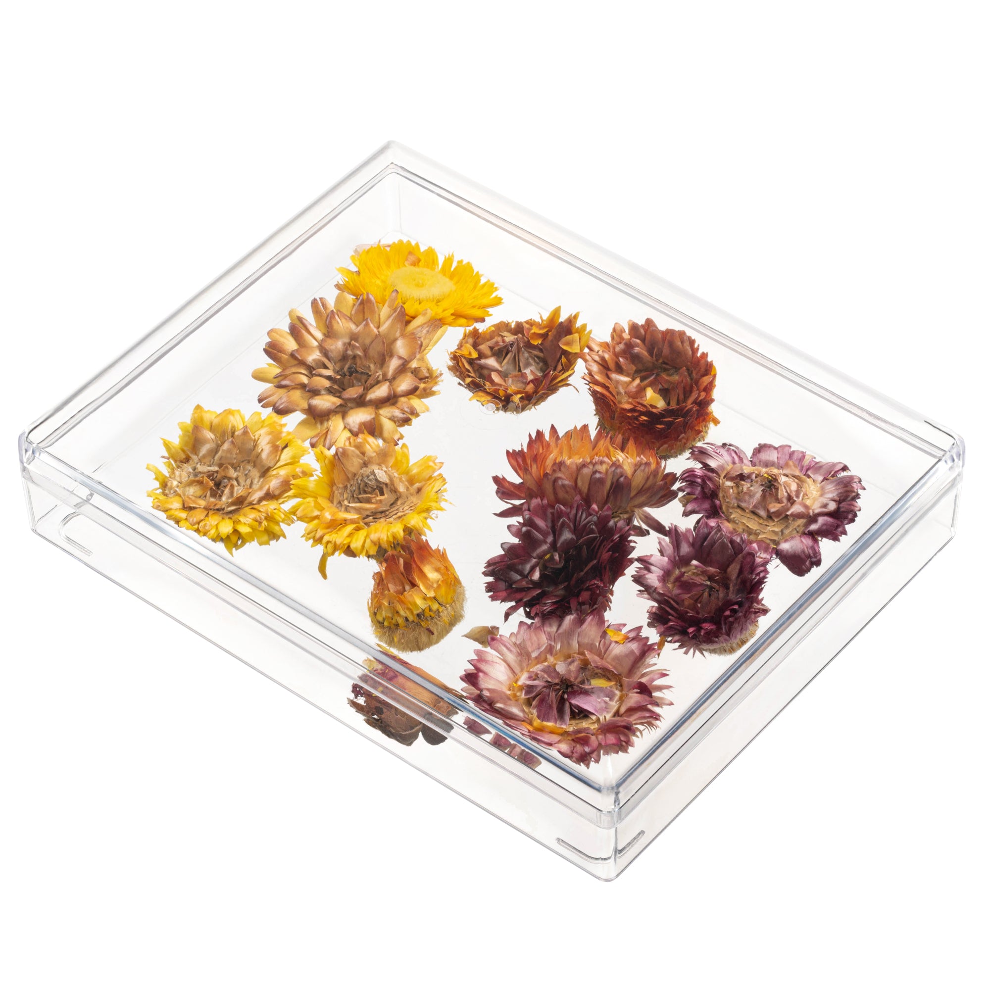 Clear Rigid Acrylic Boxes