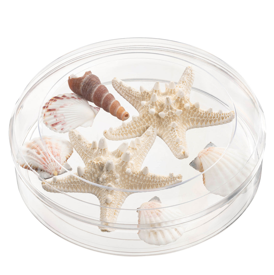 Clear Round Rigid Acrylic Gift Boxes
