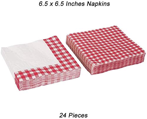 Picnic Themed Party Supplies Bundle Serves 16