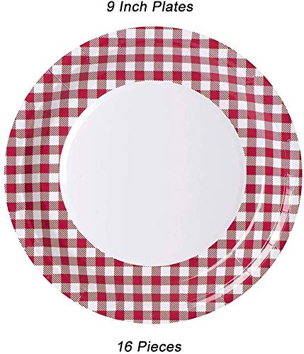 Picnic Themed Party Supplies Bundle Serves 16