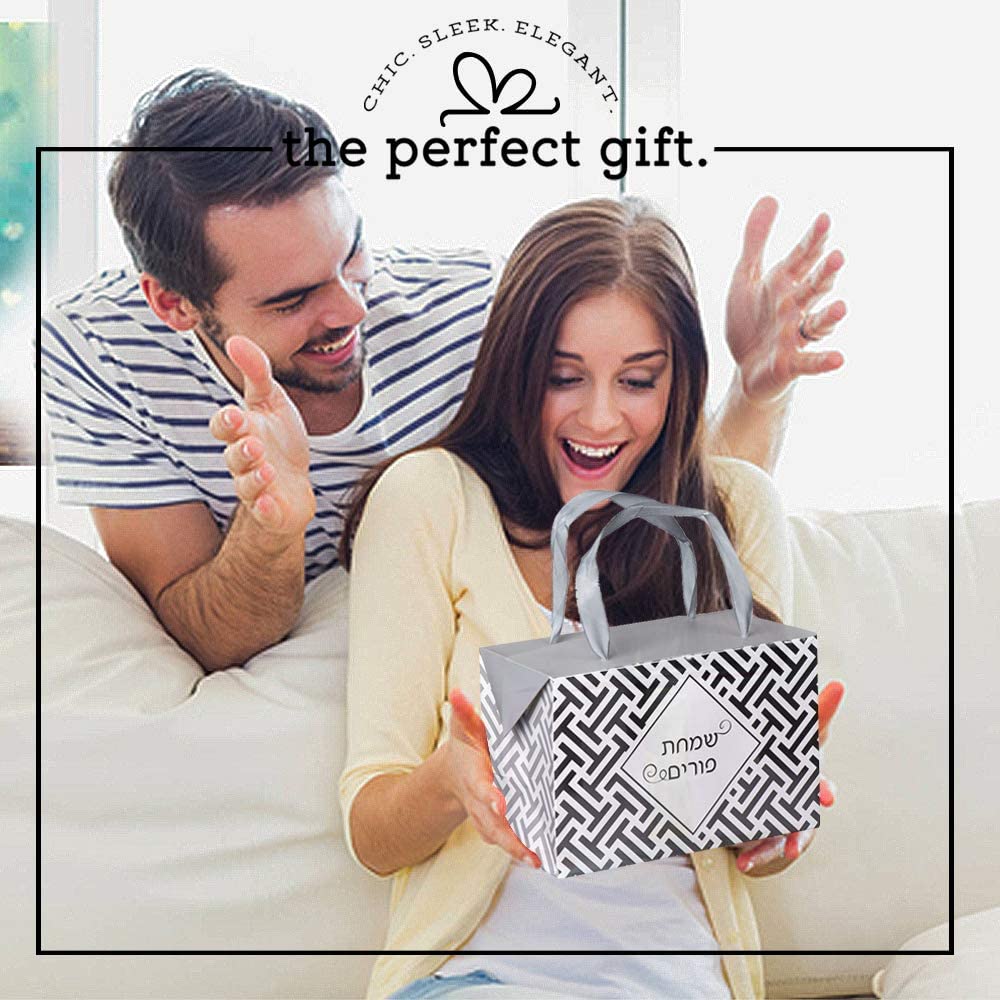 Silver Purim Paper Gift Bag Box 6 Pack 7"X 3.5"X 4.75"