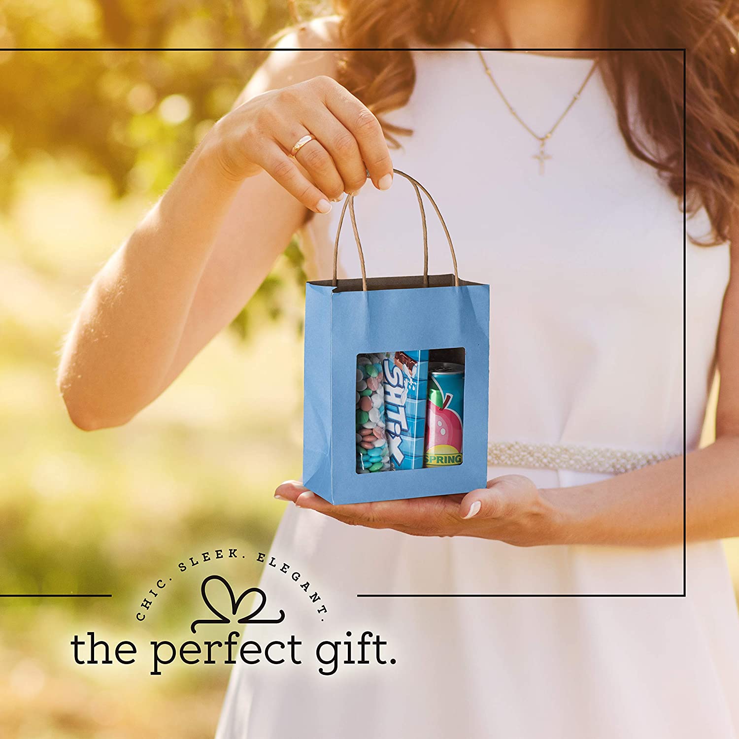 Blue Kraft Paper Bag With Window 10 Pack 7.75"X 6.25"X 3"